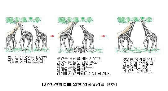 영국음식.jpg